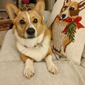 Meet your Posher, Christine